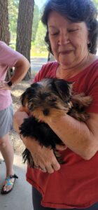 A woman in a red shirt is holding a small, fluffy Yorkshire Terrier puppy. She is standing outside an art gallery, and another person in a pink shirt and gray shorts is standing nearby with their hands on their hips. Trees and a paved area are visible in the background.