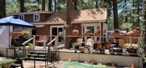A brown wooden cabin surrounded by tall pine trees, with a porch decorated like a botanical gallery, featuring numerous potted plants and flowers. The porch has a railing and steps leading down to a garden area, where a hose and various gardening tools are visible. A canopy is set up on the left.