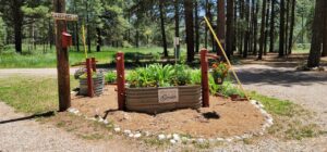 A rustic garden setup in a forested area doubles as an enchanting visual arts gallery. A wooden sign says “Welcome to Paradise” amidst various blooming flowers in planter barrels. A small red mailbox is mounted on a post labeled "Carefree." Gravel path and trees are in the background.