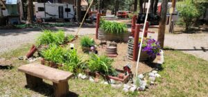 A small garden in a campground features green plants, colorful flowers in barrels, decorative wooden elements, and a miniature birdhouse, all bordered by rocks. A wooden bench sits nearby. Like an open-air gallery, the scene is framed by trees, cars, and RVs in the background.