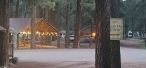 A serene campground surrounded by tall pine trees features a lit pavilion with picnic tables, casting a warm glow as the sun sets. To the right, a sign reads "COME CHECK IN OFFICE," indicating the gallery-style office. Cabins and parked vehicles are visible in this picturesque setting.
