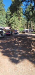 A parade of decorated golf carts moves down a tree-lined path in a forested area on a sunny day. American flags and colorful decorations adorn the carts, resembling a moving gallery of patriotic art. Numerous people are gathered around, some standing near a rustic cabin in the background.