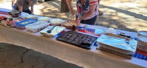 A long table with a white tablecloth is set up outdoors, resembling a culinary gallery, displaying various homemade dishes in containers and trays. A person in a striped shirt is slicing a pie on the table. The decor includes American flag-themed accessories, with several dishes covered or partially opened.