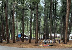 A playground set amid tall pine trees feels like an engaging gallery of laughter. Children are playing on various equipment, including a merry-go-round in the foreground. A wooden play structure with slides and swings is visible in the background. Families are interacting and enjoying the outdoor space.