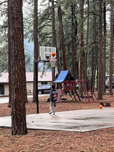 A child wearing a black hoodie and gray pants is playing basketball on an outdoor court surrounded by trees in a forested area, creating a lively gallery of movement. The child is shooting the ball towards the hoop, while another basketball lies on the ground nearby. A playground can be seen in the background.
