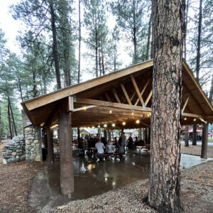 A wooden pavilion with lights strung along the beams is nestled among tall pine trees, resembling an open-air gallery. Inside, people are seated at picnic tables, some standing and talking, sheltered from the surrounding forested area. The ground is wet, indicating recent rain.