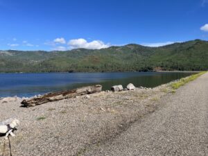 A serene lakeside scene with clear blue water and distant green hills under a bright blue sky. The shore, like a natural gallery, is rocky with scattered driftwood and a gravel path to the right. Sparse patches of grass dot the landscape.