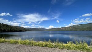 A serene lake reflects the blue sky, surrounded by forested hills. The water's edge is lined with small, green shrubs and plants. Fluffy clouds scatter across the sky, creating a peaceful and picturesque landscape worthy of an art gallery exhibition.