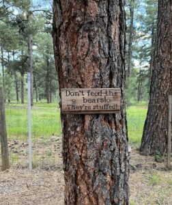 A wooden sign nailed to a tree trunk in a forested area reads, "Don’t feed the bears! They're stuffed!" The backdrop resembles a natural gallery with more trees, some grass, and a fence. The scene is enveloped by a lush, wooded environment.