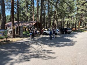 People gather near a building in a wooded area, with two cars parked on the side of a paved lot. Tall pine trees surround the scene, and a cartoon sign is partly visible to the left. Sunlight creates dappled shadows on the ground.