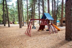 A wooden playground set with a slide, swings, and climbing features is situated among tall pine trees in a forested park area.