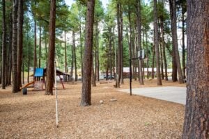 Outdoor playground and basketball court surrounded by tall pine trees, with picnic tables and structures visible in the background.