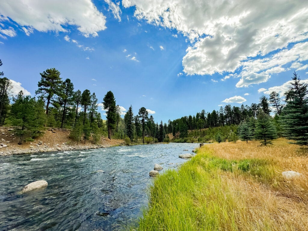 A clear river flows beside grassy banks and pine trees under a partly cloudy blue sky in a peaceful forested landscape.