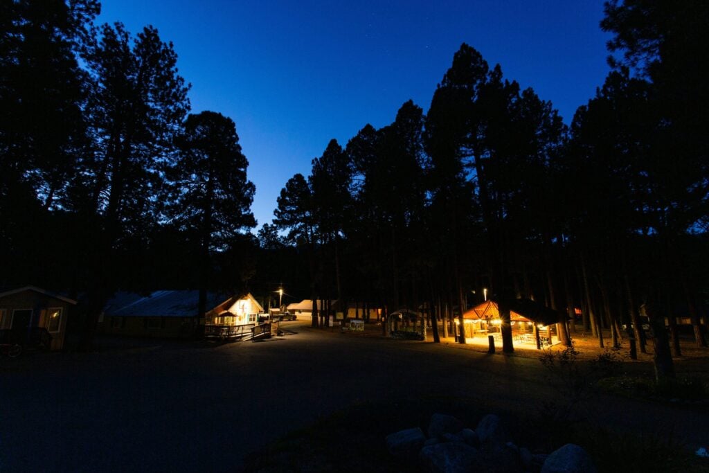 Buildings with lit windows are surrounded by tall pine trees at dusk, with a dark blue sky and a quiet, empty paved area in the foreground.